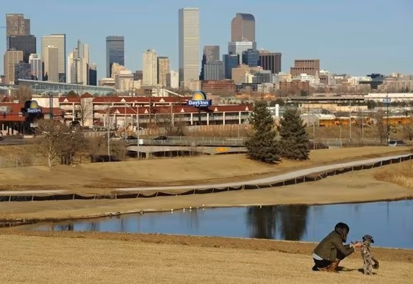 Barnum Dog Park